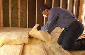 Professional Insulation Removal & Installation in Roselle Park, NJ